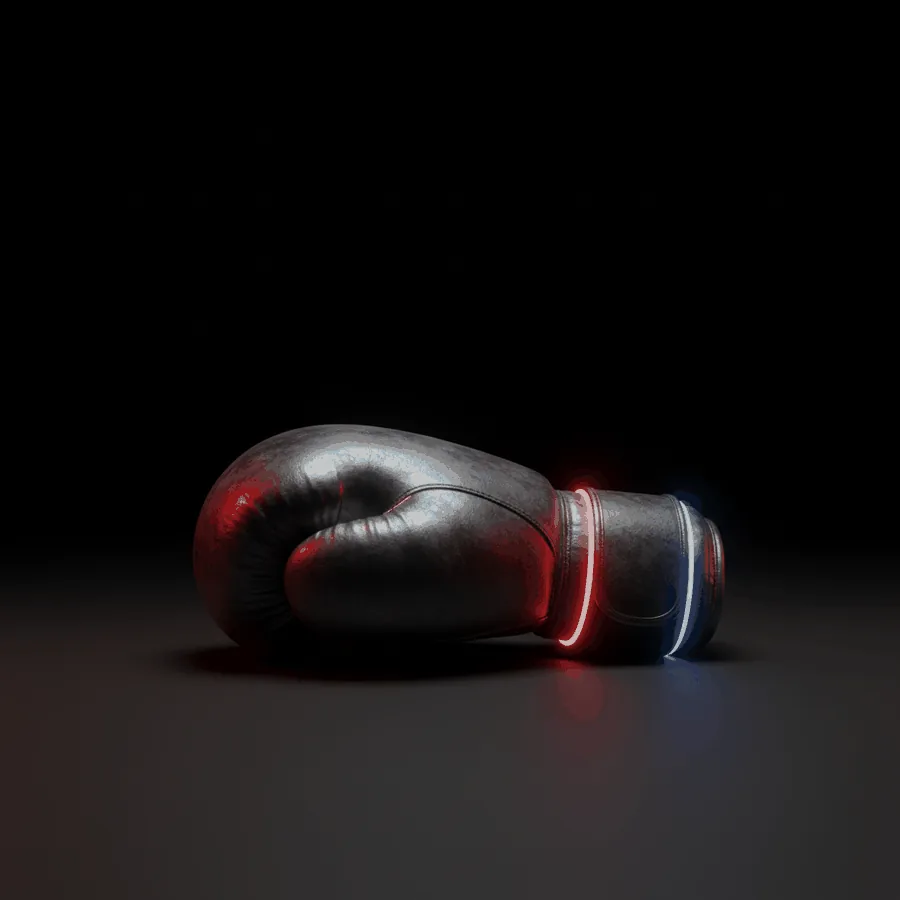 Matte-metallic 3D render representing Boxing on MegaPari